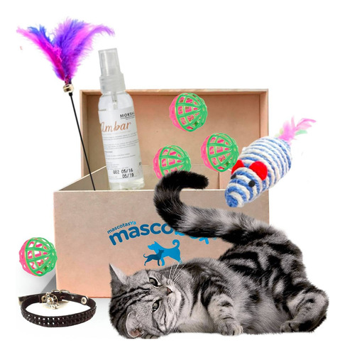 Mascobox Kit Juguetes Soga Collar Box Para Gatos + Envío!