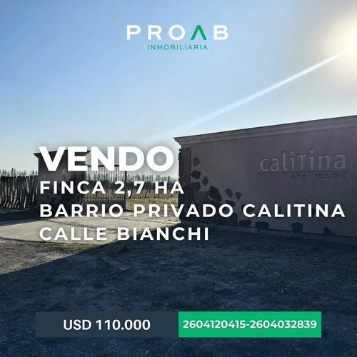 Finca Con Viñedos En Barrio Privado