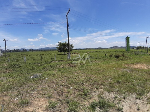 Imagem 15 de 25 de Terreno A Venda Na Br 101, Cidade De Penha (sc) - Exa Imóveis. - 0915