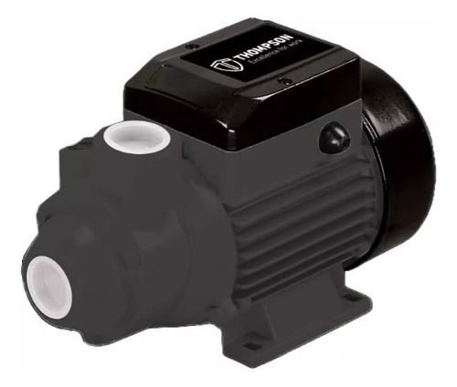 Bomba De Agua Periférica 220v 35l/min 1/2hp Thompson Thbp12