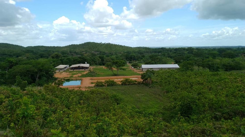 Imagen 12 de 14 de 12997 Katherine Castillo 0412-8567234 Venta Finca Ojo De Agua Via Acarigua