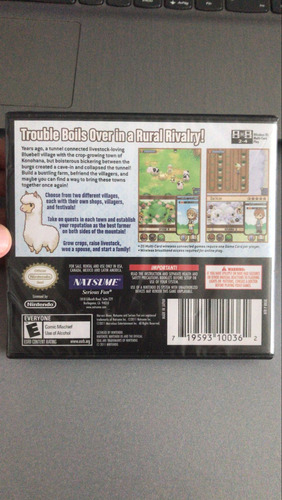Harvest Moon: The Tale Of Two Towns Nintendo Ds Nuevo (Usado)