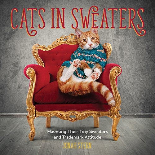 Cats In Sweaters Flaunting Their Tiny Sweaters And Trademark