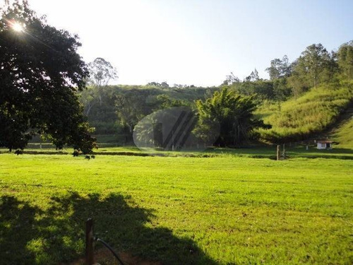 Imagem 11 de 20 de Sítio À Venda Em Joaquim Egidio - Si206744