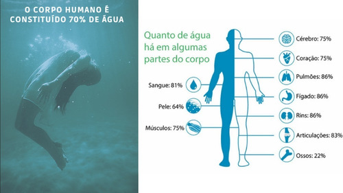Magnetizador De Água Bio - Pet Saúde E Bem Estar