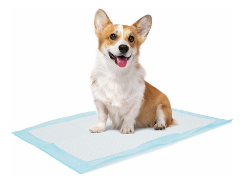 100 Tapete Entrenador For Perro Gato 33x45 Cm Mascotas