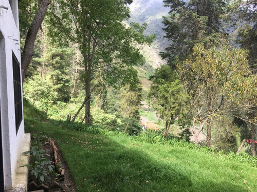 La Lagunita La Puerta Vendo Casa Con 20000 M2 De Terreno