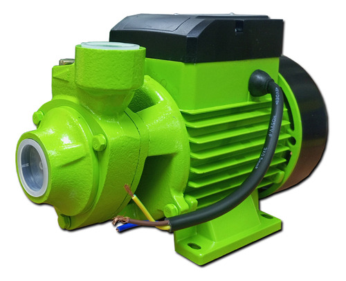 Bomba De Agua 1/2hp Embobinado De Cobre 110v Cr-turbo