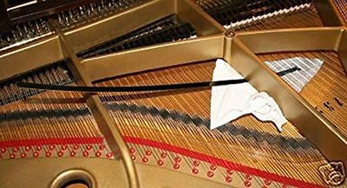 Grand Piano Soundboard Cleaner, Mantenga El Piano Limpio