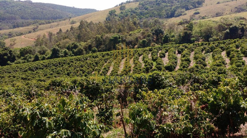 Imagem 1 de 15 de Fazenda Para Venda Em Ouro Fino, Centro - Fazenda 0_1-2237059