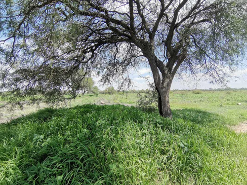 Terreno En Venta En Colonia La Venta De Ajuchitlancito, Pedro Escobedo, Querétaro