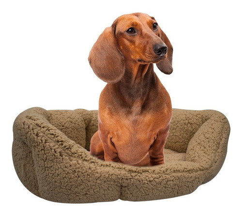 Imagen 3 de 7 de Cojin Cama Para Perro O Gato Chica Bichon Fancy Pets 60x40cm