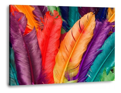 Canvas | Mega Cuadro Decorativo | Plumas Colores | 140x90