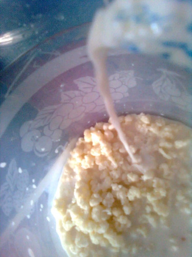 Imagen 2 de 7 de Kefir De Leche