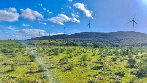 Chacra 5 Hectáreas En Venta, Sierra De Los Caracoles