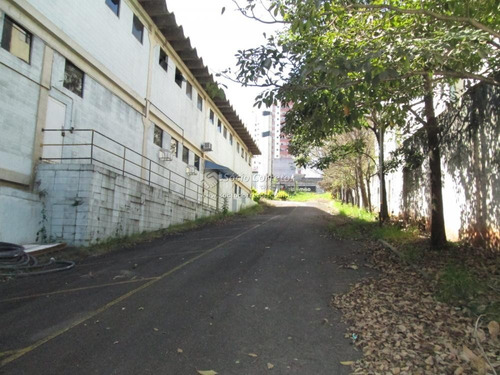 Imagem 1 de 15 de Galpão 11.000m² Área Construída Vila Augusta Em Guarulhos - Galpão A Venda No Bairro Vila Augusta - Guarulhos, Sp - Sc00548