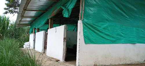 Imagen 2 de 22 de Vendo Finca Bitaco