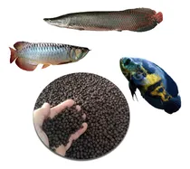 Comprar Ração P\u002F Peixes Carnívoros, Pirarucu, Oscar E Outros 1 Kg