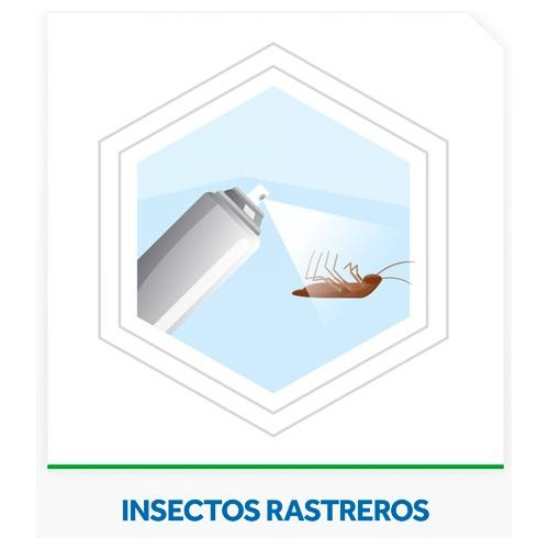 Imagen 6 de 6 de Raid Aerosol Max Cucarachas Sin Olor - 360 Cm 3