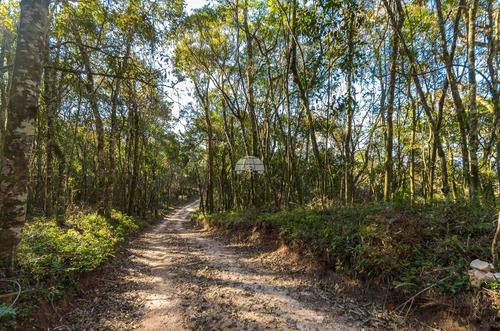 Imagem 18 de 30 de Chácara - Residencial - 936672
