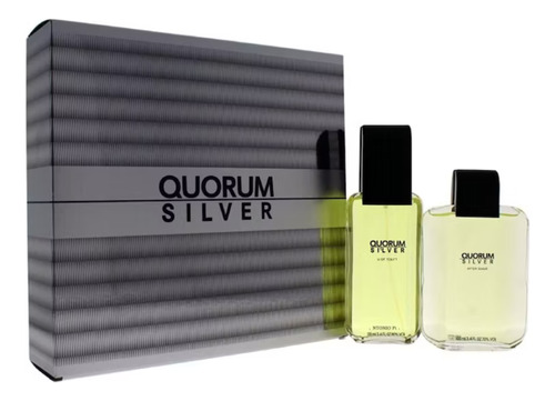 Quorum Silver Estuche Edt 100ml+af. Shave100ml Silk Perfumes