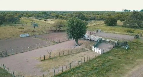 Imagen 5 de 15 de Campo Ganadero