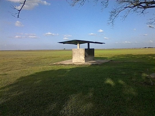 Imagen 4 de 15 de Hato En Venta En Elorza, Apure