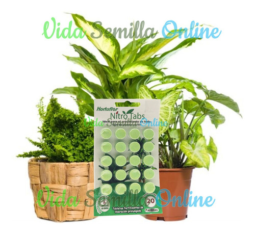 Tabletas Fertilizantes Nutricion Para Plantas Verdes