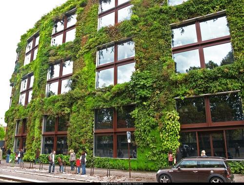 Imagen 7 de 10 de Jardín Vertical Reforzado - Fondo Impermeable De 8 Bolsillos