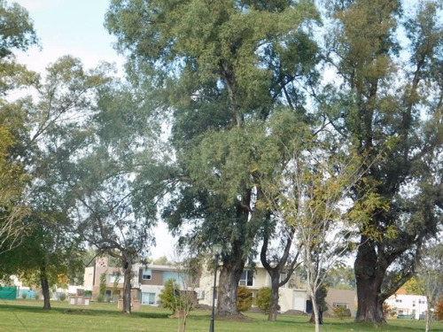Flores Prop- Prados Del Oeste Lanzamiento Nueva Etapa: Lote En Venta