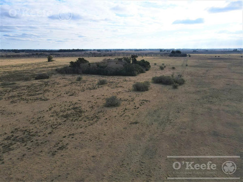 Imagen 5 de 18 de 33 Has En Venta - Chacra Agrícola Con Excelente Acceso