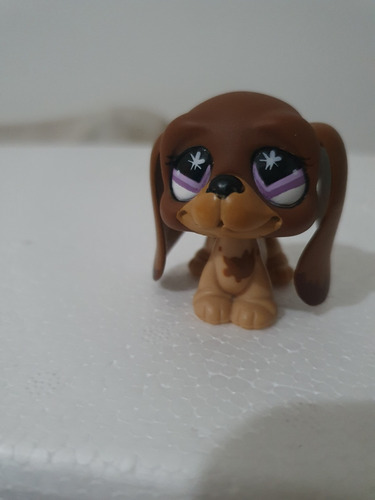 Littlest Pet Shop Perro Orejas Marron