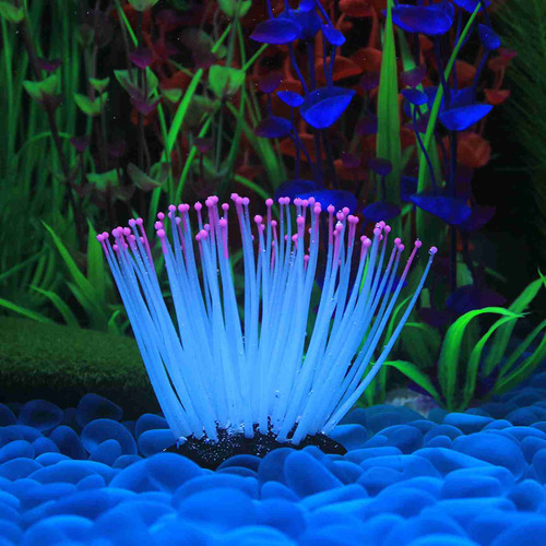 Efecto Brillante Artificial De Anémona Marina De Silicona Pa
