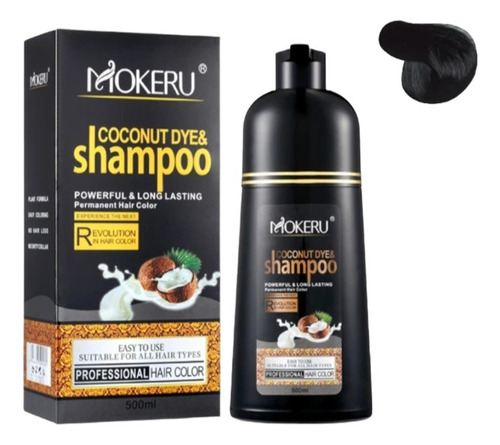 Shampoo Tinte 2 En 1 Chao Canas Natural Black 