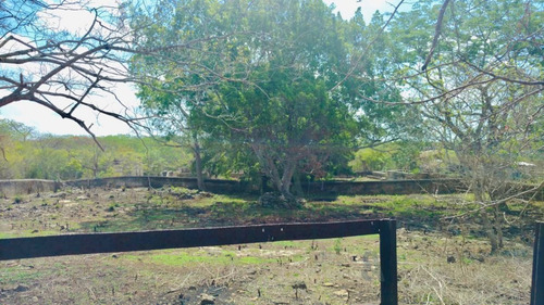 Imagen 12 de 16 de Ex Finca Henequenera En Venta En Homún, Yuc. Cvv39.