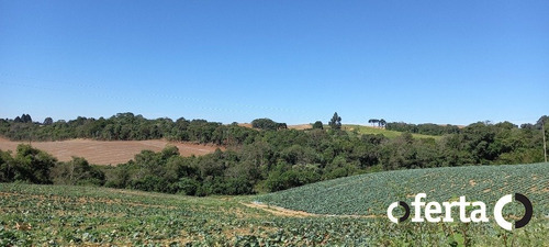 Imagem 9 de 15 de Terreno - Serrinha - Ref: 758 - V-758