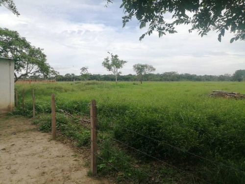 Imagen 17 de 17 de De Oportunidad Vendo Finca En El Cantón 283 Hectáreas Ah