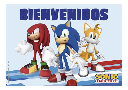 Poster Afiche Bienvenidos Sonic Personajes Cotillón 