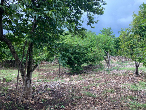 Terreno De 4,050 M2 En Dzununcan, Yucatán