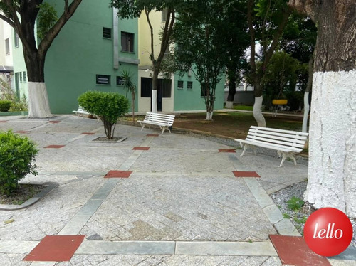 Imagem 13 de 17 de Apartamento - Ref: 208127