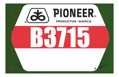 Pioneer B3715 Semilla Maíz Hibrida