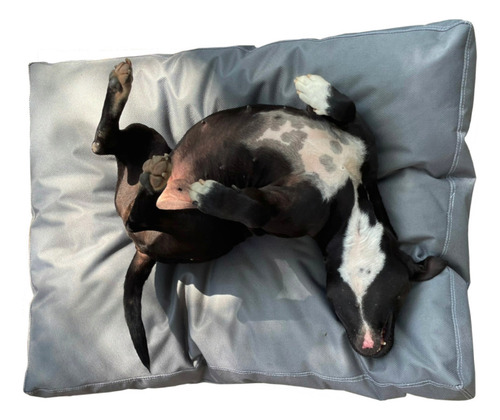 Cama Para Perro Gosset Modelo Zuko Md.