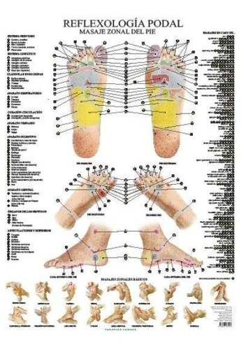 Reflexología Podal