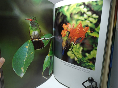 Imagen 10 de 10 de Los Colores Del Aire - Aves De Colombia Y El Trópico
