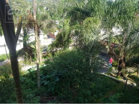 Imagem 30 de 30 de Rural A Venda - 4203305