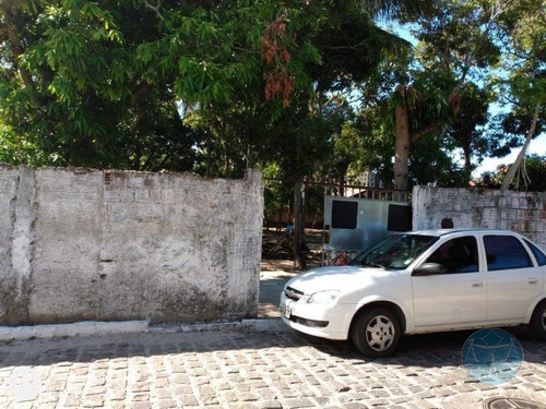 Imagem 2 de 8 de Terreno Na Vila De Ponta Negra - V-11436