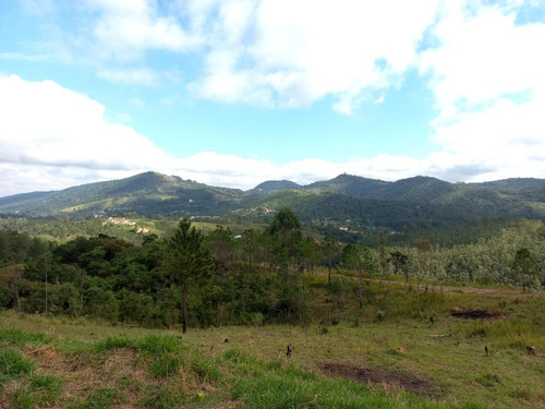 Imagem 4 de 9 de Lotes/ Terrenos