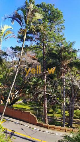 Imagem 10 de 22 de Terreno - Caputera - Te-2651