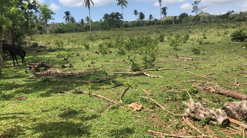 Se Vende Finca En Samana Rancho Español.