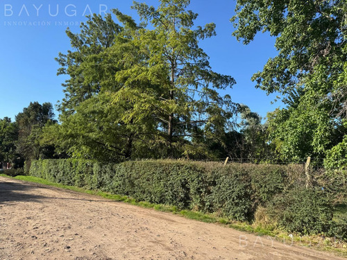Lote Con Casa En Pilar - Apto Credito / Inversión